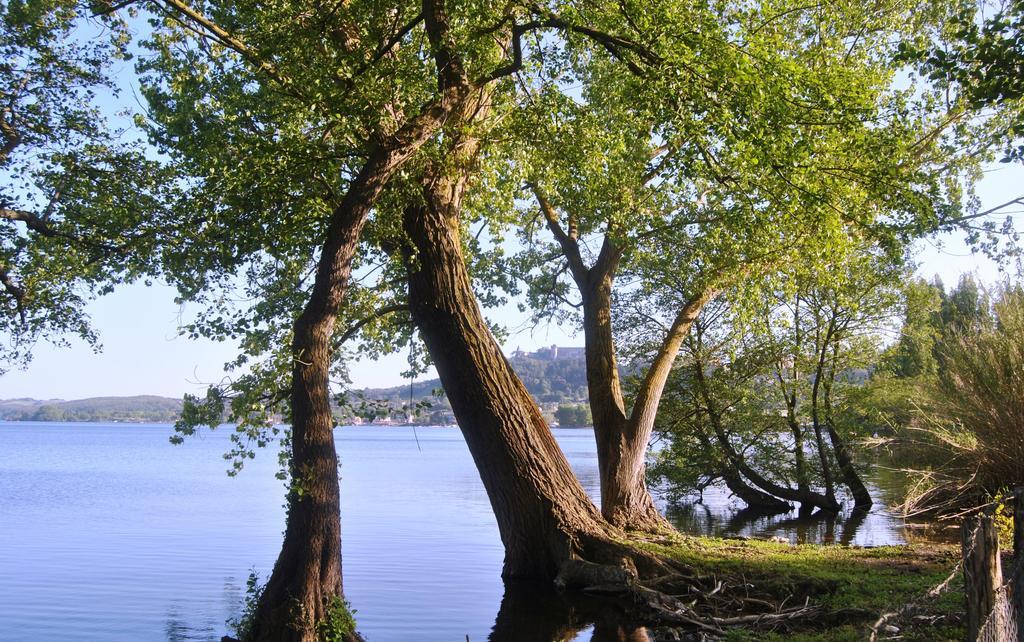 The Lake Chalet Bracciano  Εξωτερικό φωτογραφία